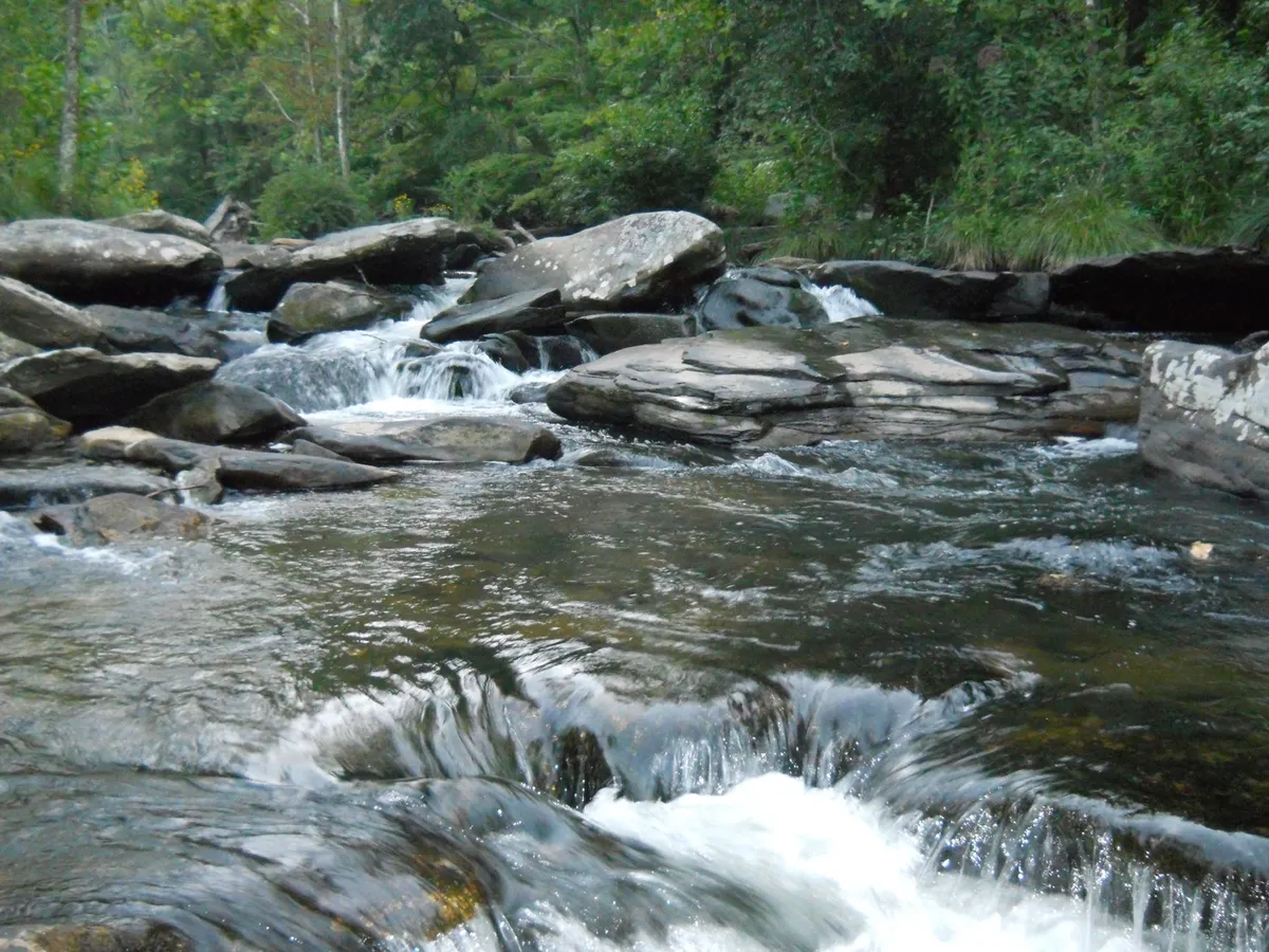 A tranquil stretch of the Watauga River flows gently over smooth rocks, surrounded by lush greenery. The setting captures the serenity of riverside life and hints at opportunities for fishing, kayaking, and wildlife observation.