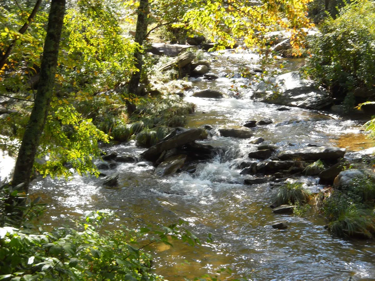 A tranquil scene featuring a flowing river bordered by natural rock formations and dense, lush greenery. The area is perfect for nature walks, peaceful moments by the water, or playful activities like fetch with your dog.