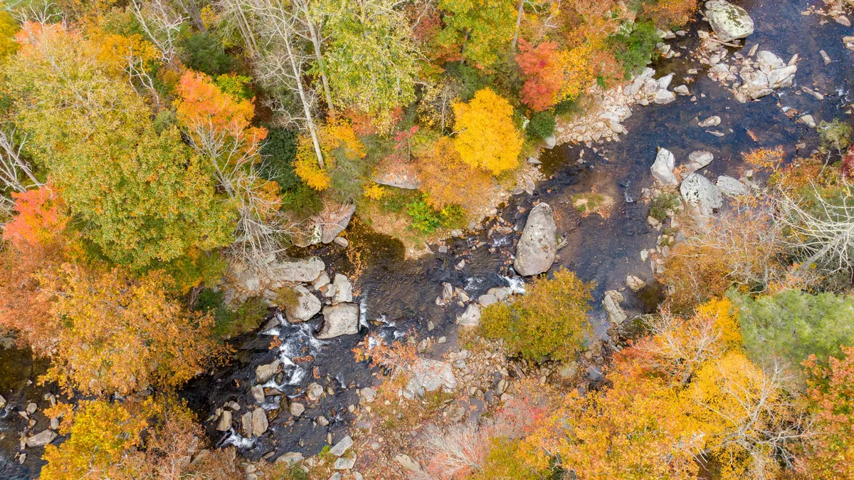 A picturesque view of the flowing river bordered by colorful foliage and large rocks. The natural landscape suggests a peaceful setting ideal for walks, quiet moments, or simply taking in the beauty of the riverside location.