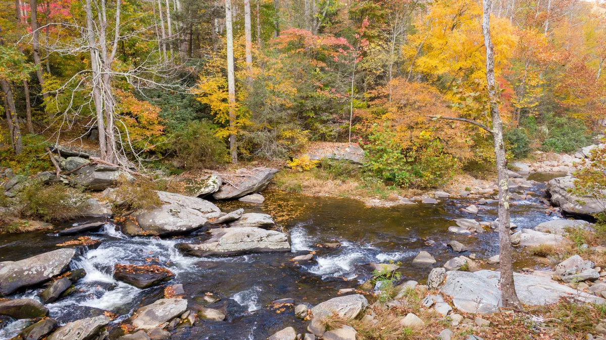 A flowing creek with large boulders winds through a serene forest, with vibrant autumn foliage adding bursts of color. The water is calm and inviting, bordered by rocks perfect for sitting or picnicking. The scene suggests tranquility and opportunities for nature walks, wading, and riverside picnics.